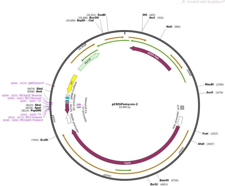 File:PCRISPomyces-2 map.png