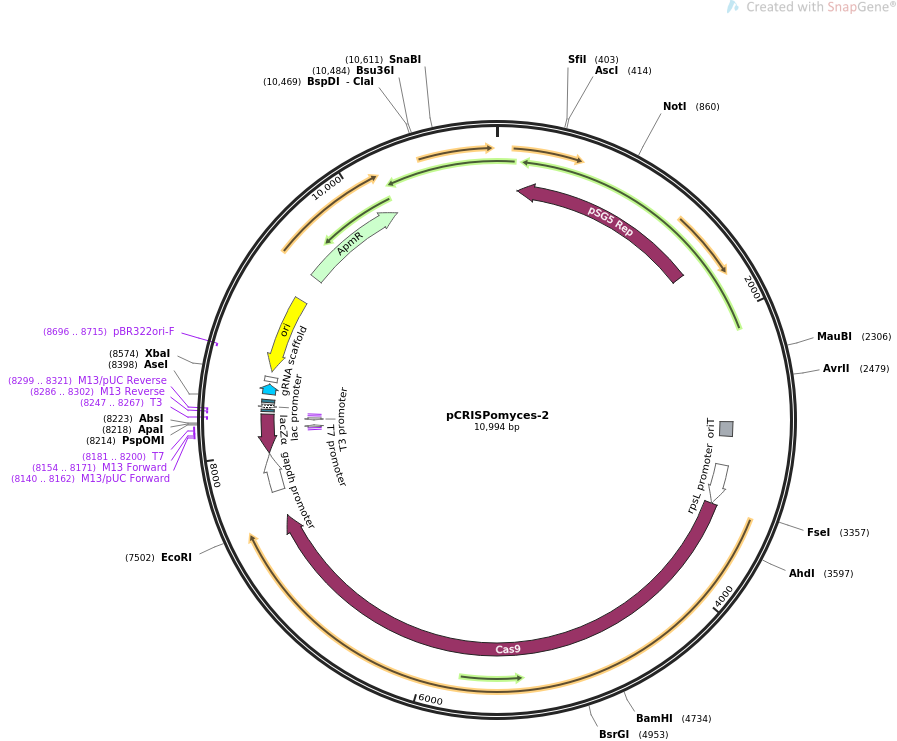 PCRISPomyces-2 map.png